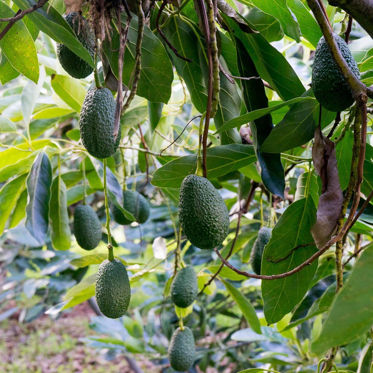 Produktbild 9
