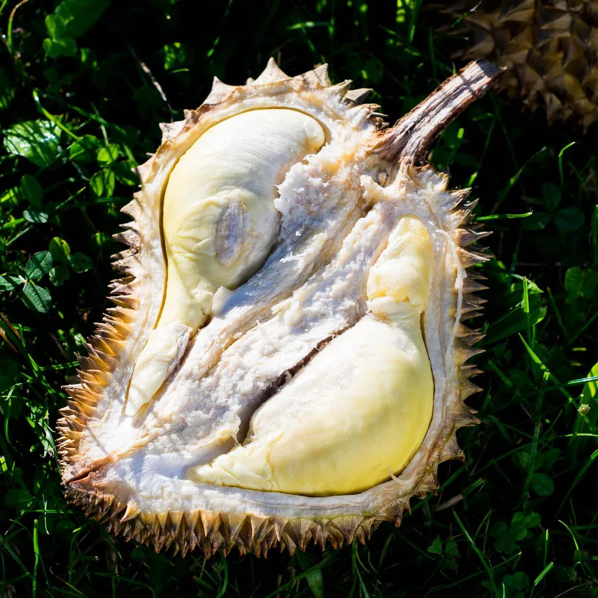 Produktbild 4