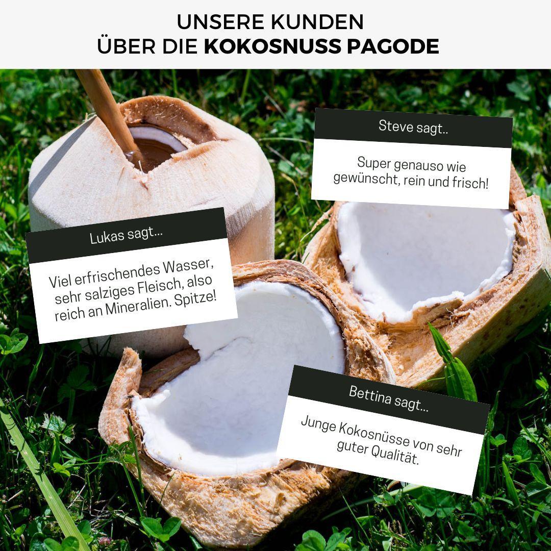 Produktbild 10