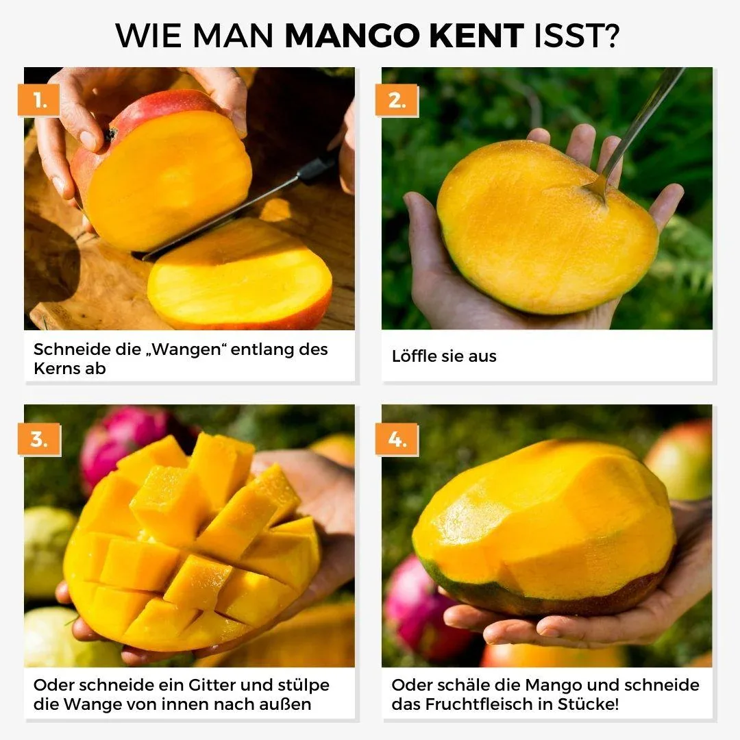 Produktbild 11