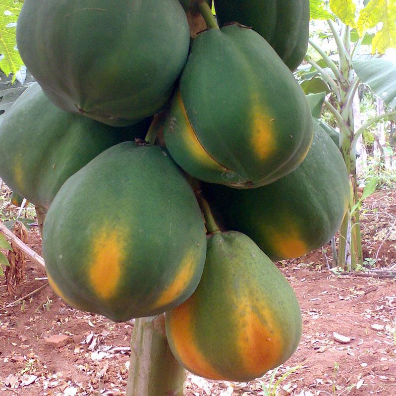 Produktbild 3